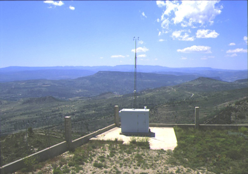 MORELLA1jpg